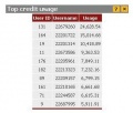 Top Credit Usage's table In home page1.jpg